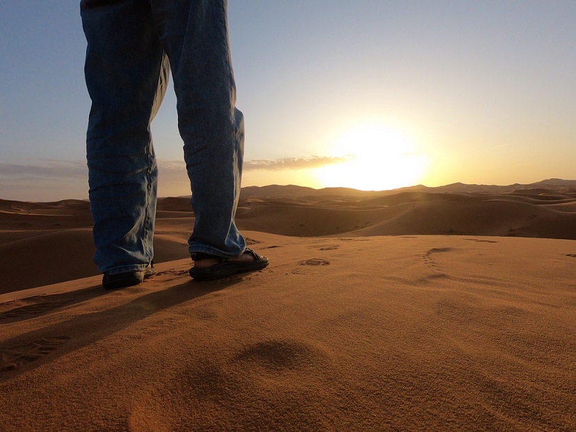 藤島 恵 (Kei Fujishima)